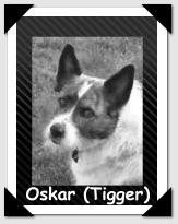 Oskar (Tigger)